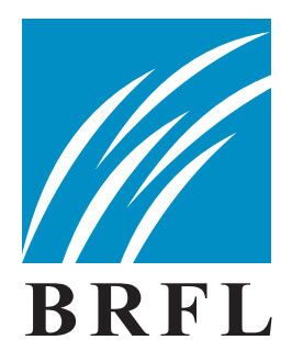 BRFL - Bombay Rayon Fashion Ltd